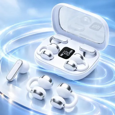 Ultra-Stylish Transparent Wireless Earbuds, LED Display